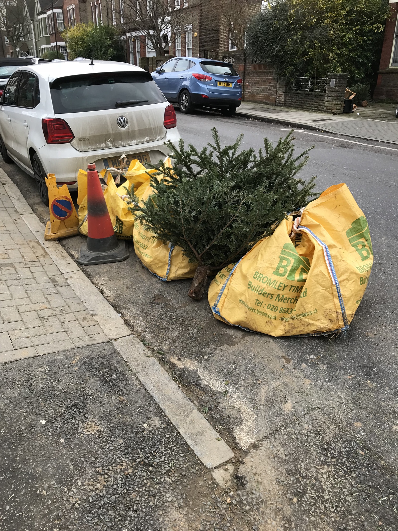 How Christmas trees are thrown away in England - My, Christmas trees, New Year, England, Longpost