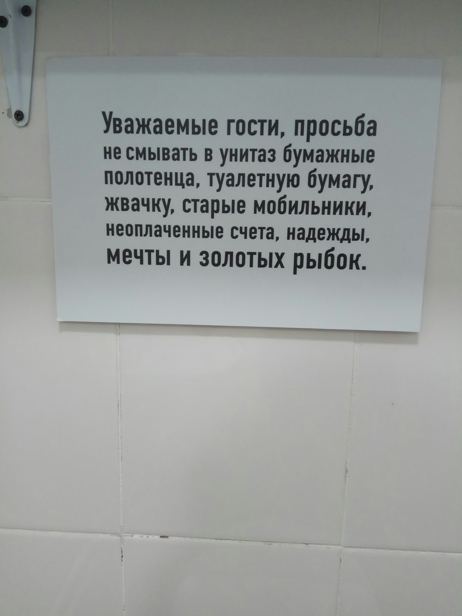 I'll have to look for another toilet... - Toilet, Announcement, Vladivostok, Longpost