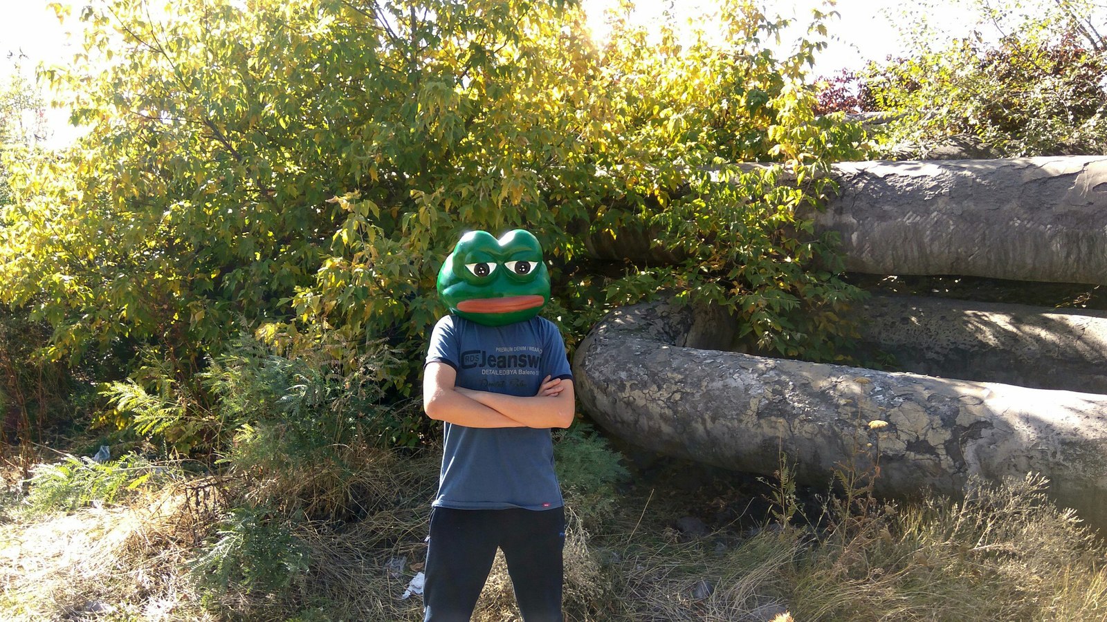 Pepe the frog mask - My, Pepakura, Papercraft, Handmade, , Mask