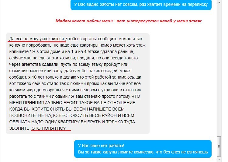 Неугомонная риэлторша - Переписка, Авито, Ярославль, Риэлтор, Неадекват, Длиннопост