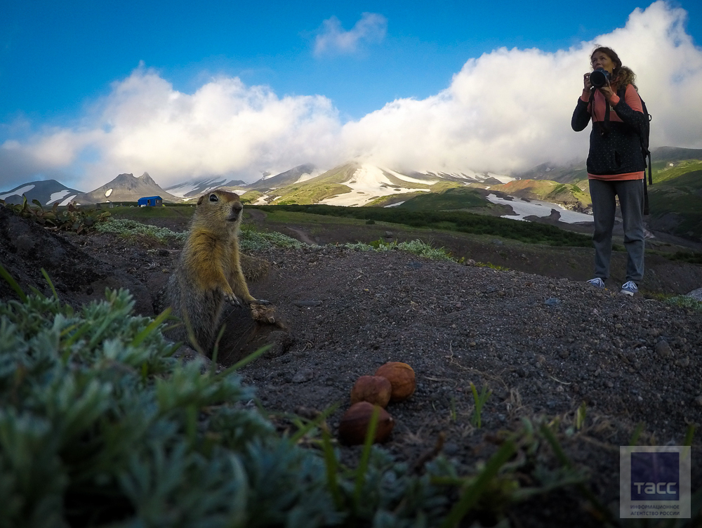 Kamchatka Evrazhki - Kamchatka, Evrazhka, Longpost