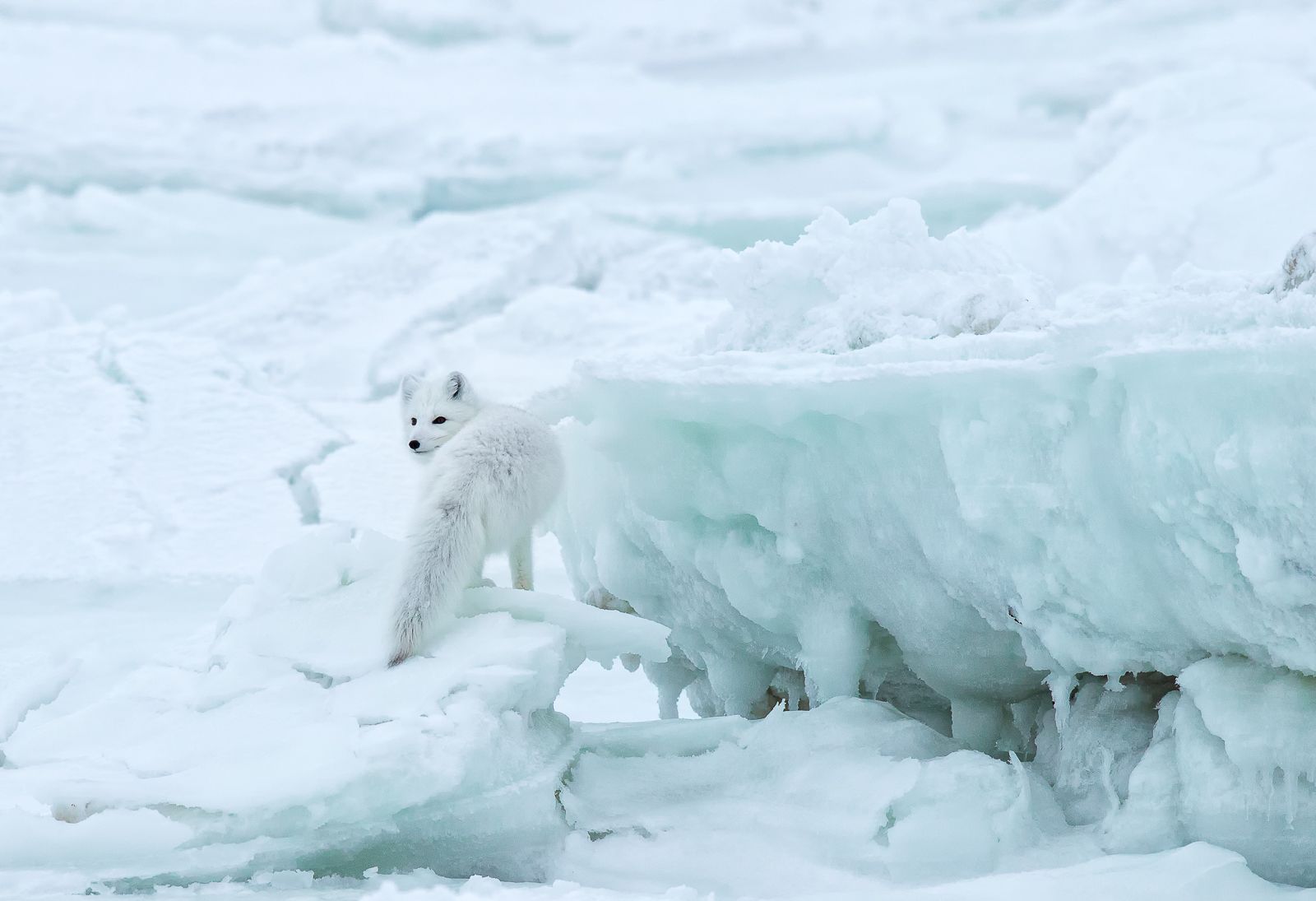 A selection of gorgeous photos from National Geographic - Beautiful places, The photo, A selection, The national geographic, Beautiful view, Longpost