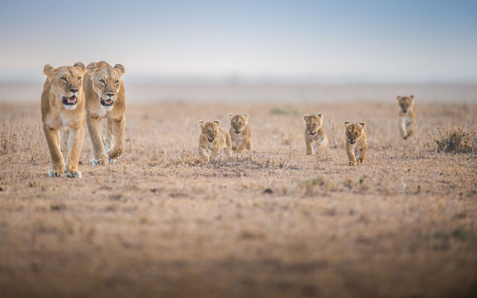 A selection of gorgeous photos from National Geographic - Beautiful places, The photo, A selection, The national geographic, Beautiful view, Longpost