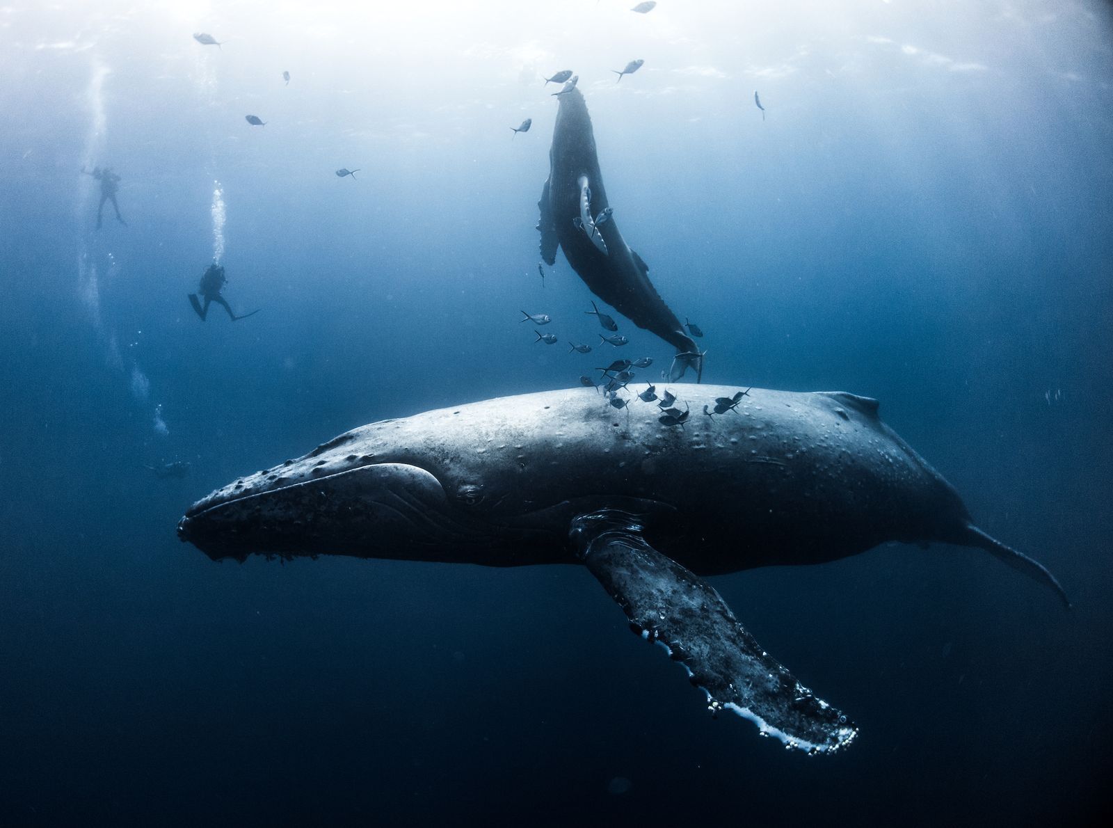 A selection of gorgeous photos from National Geographic - Beautiful places, The photo, A selection, The national geographic, Beautiful view, Longpost