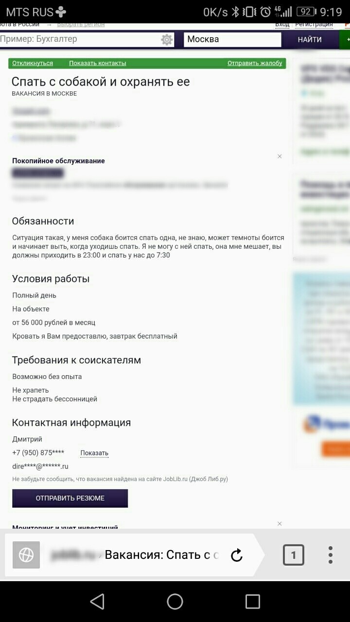 Job - Sleep with the dog - Work, Vacancies, Moscow, Dog