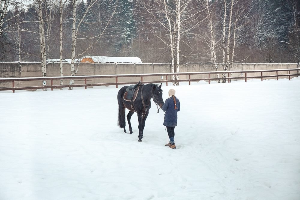 Horses. Whip. - My, Horses, Whip, Punishment, Upbringing