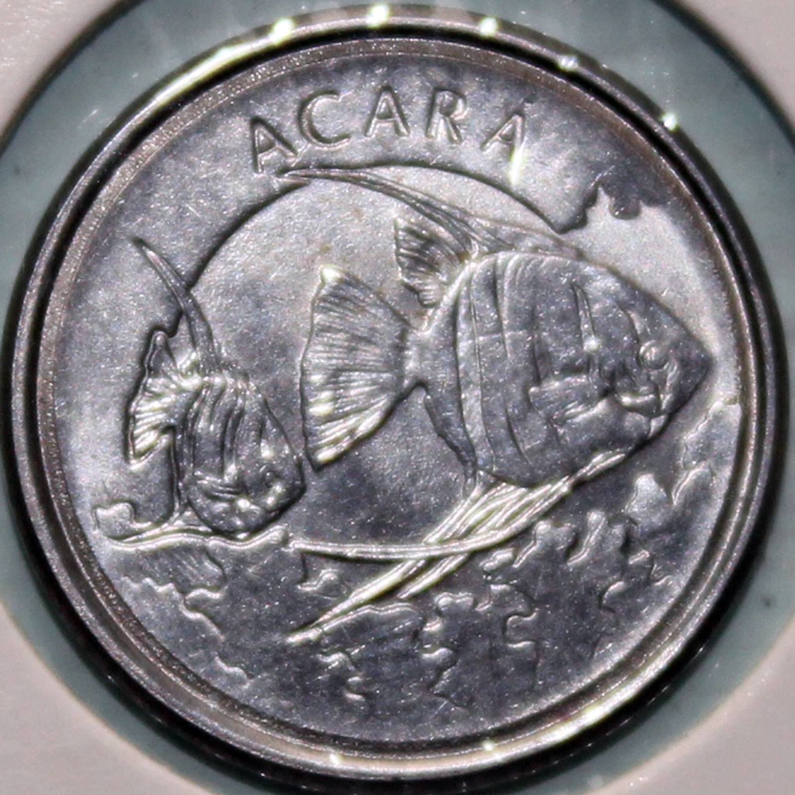 Fish numismatics - A fish, Coin, Numismatics, Longpost