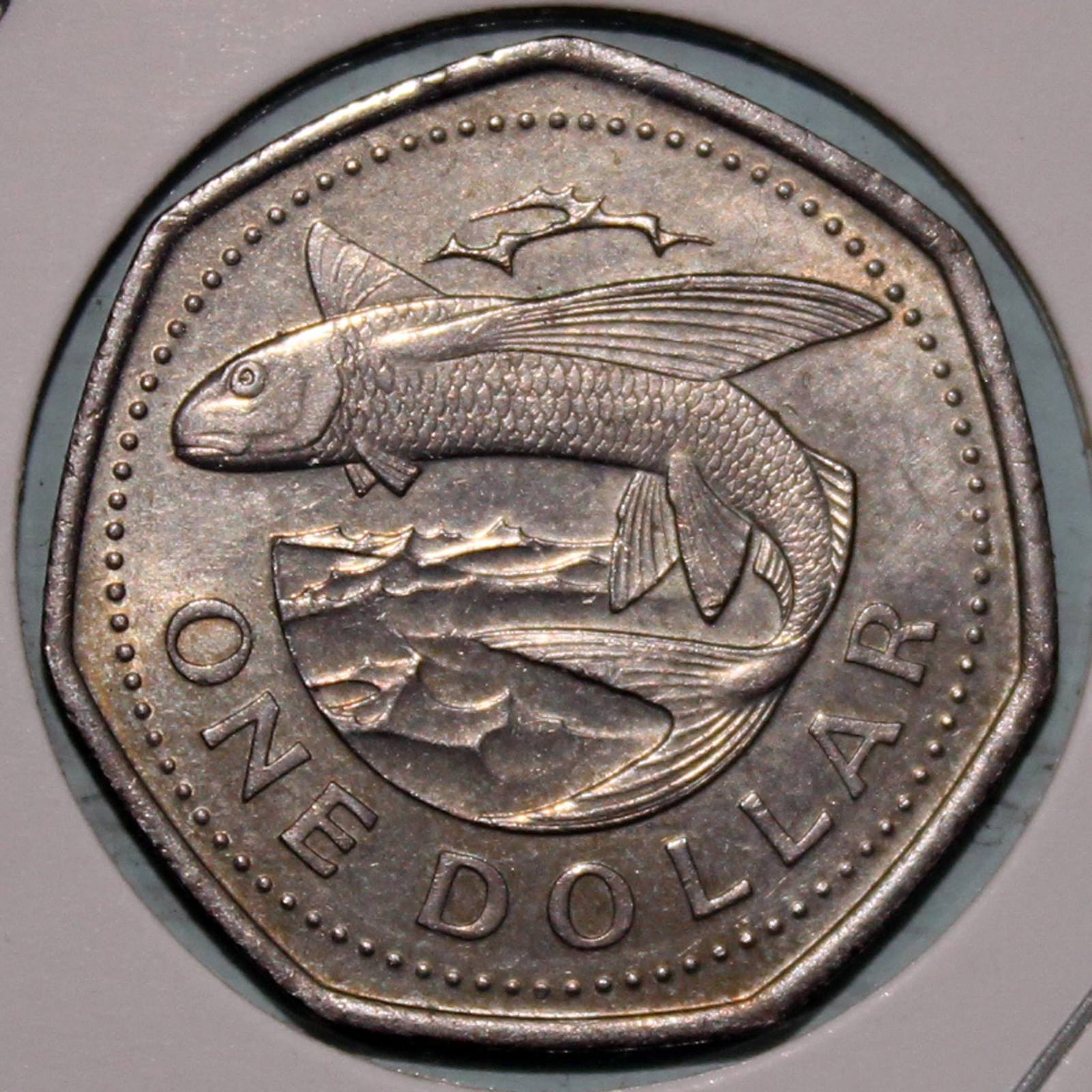 Fish numismatics - A fish, Coin, Numismatics, Longpost