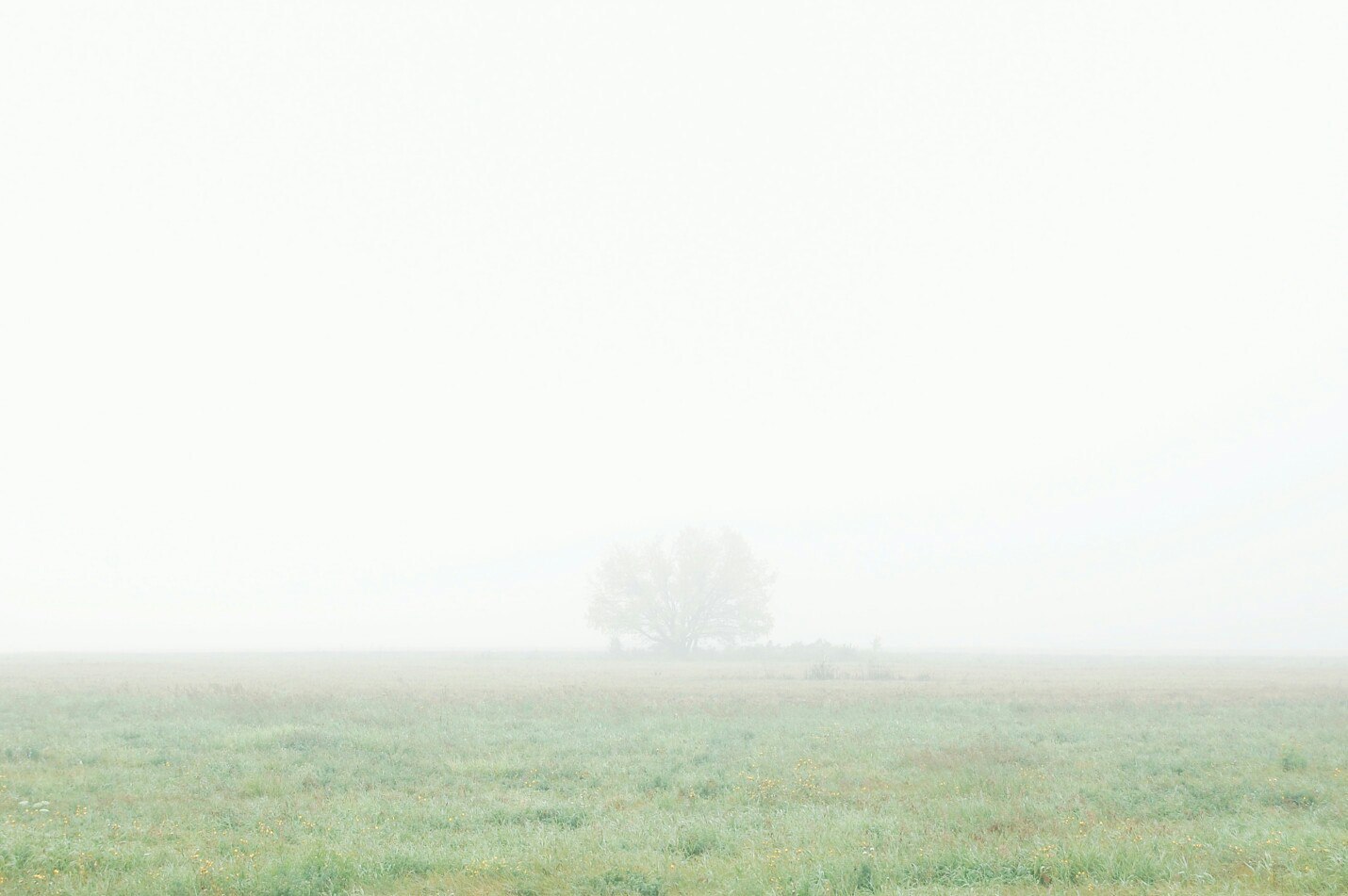 I remember the fog was two years ago ... - My, The photo, Landscape, Fog, Longpost