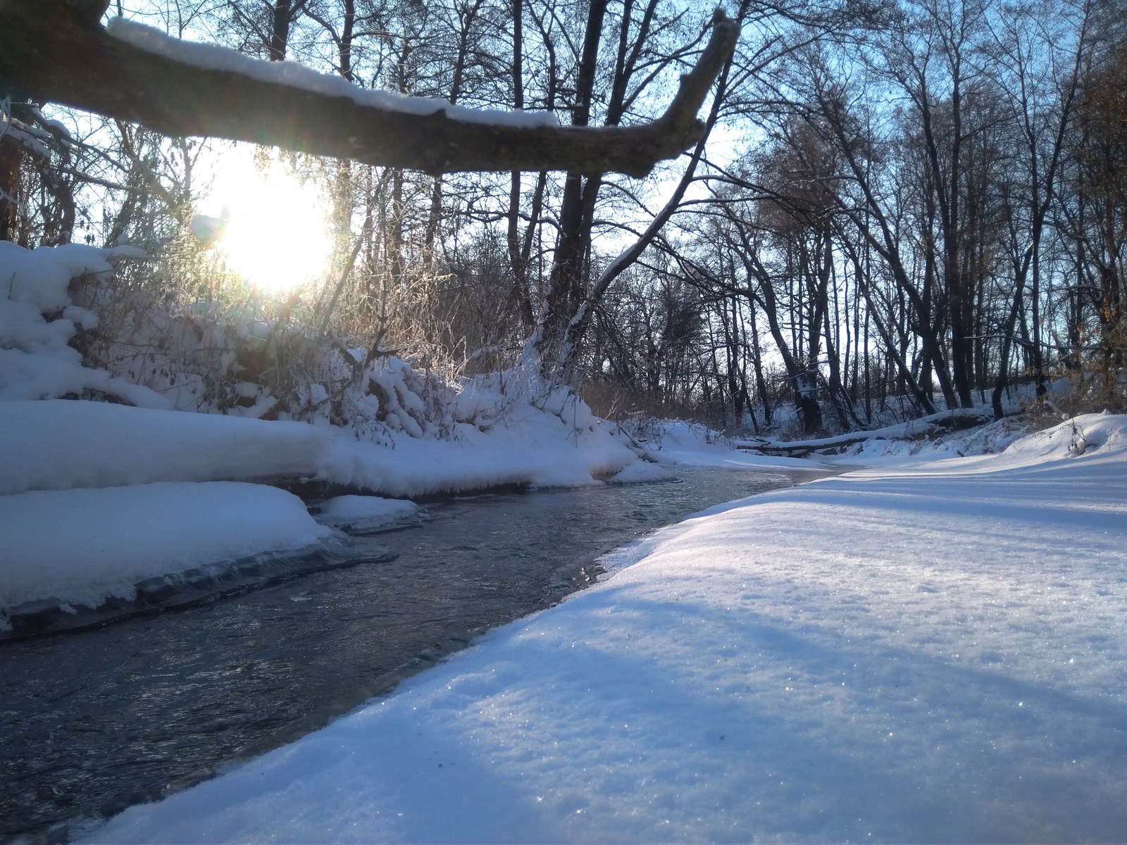 Normal winter - My, Winter, Forest, The photo, Longpost