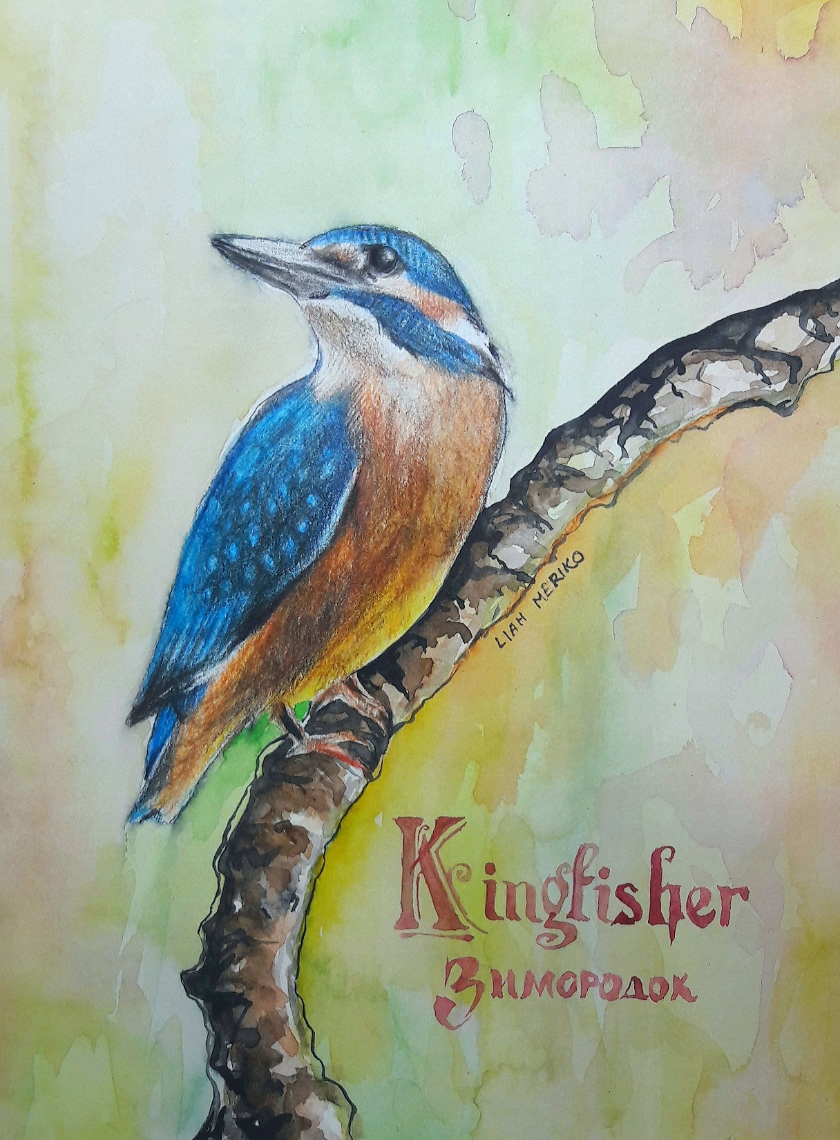 Kingfisher, watercolor and colored pencils - My, My, Drawing, Birds, Drawing process, Kingfisher, Video