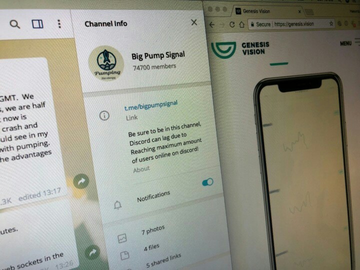 Pump & dump: как мошенники с помощью Telegram и фейкового Джона Макафи манипулировали курсом российской криптовалюты GVT. - Криптовалюта, Мошенничество, Джон Макафи, Длиннопост