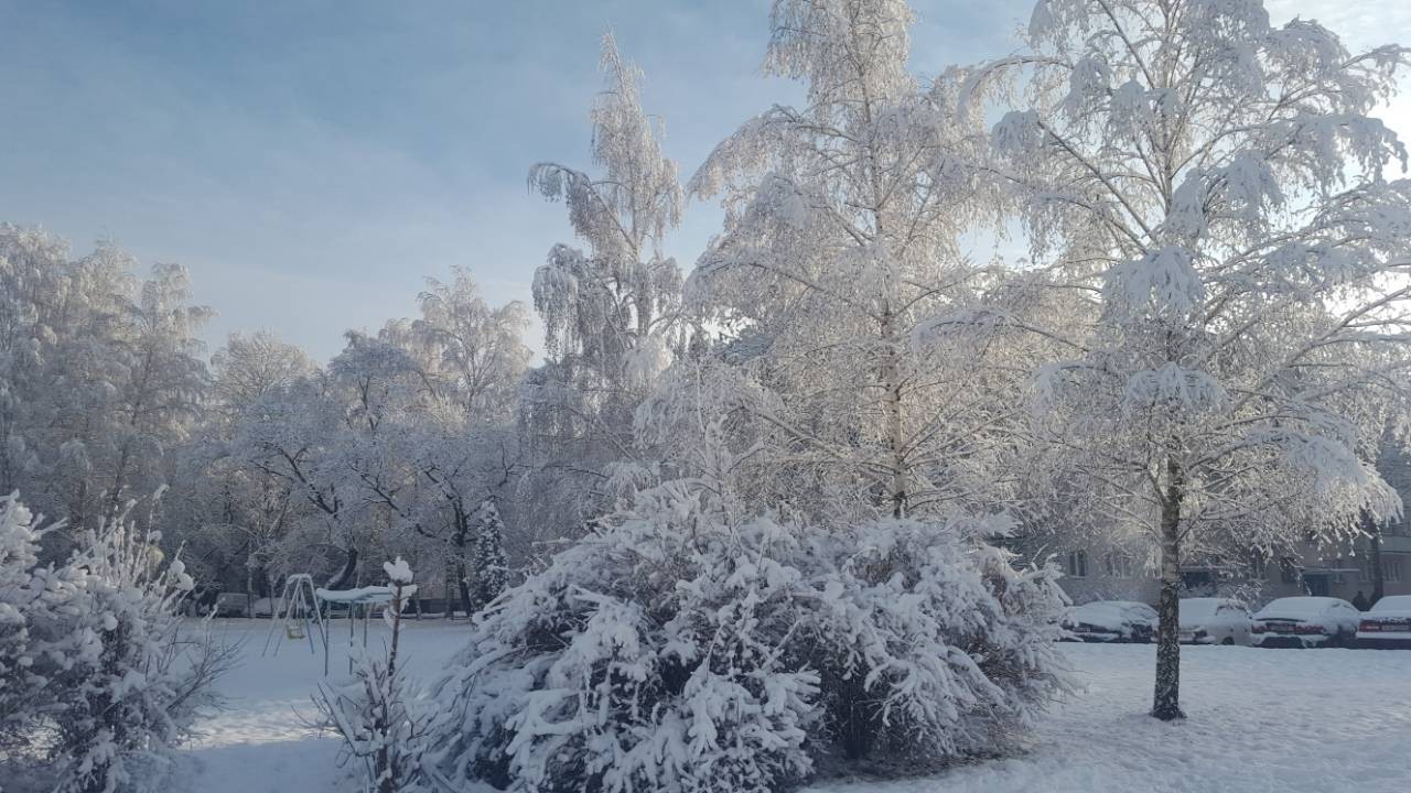 Winter is in full swing - My, Mobile photography, Winter, Republic of Belarus, Samsung Galaxy a5, Photo on sneaker, Longpost