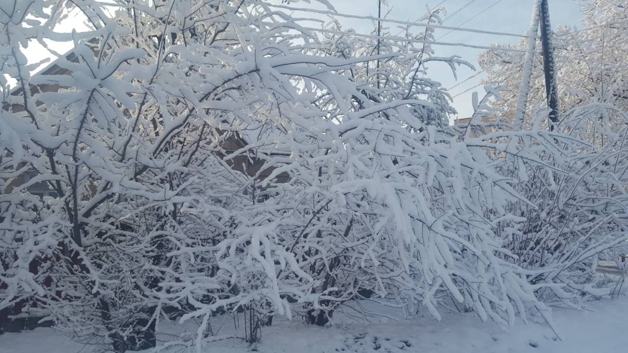 Winter is in full swing - My, Mobile photography, Winter, Republic of Belarus, Samsung Galaxy a5, Photo on sneaker, Longpost