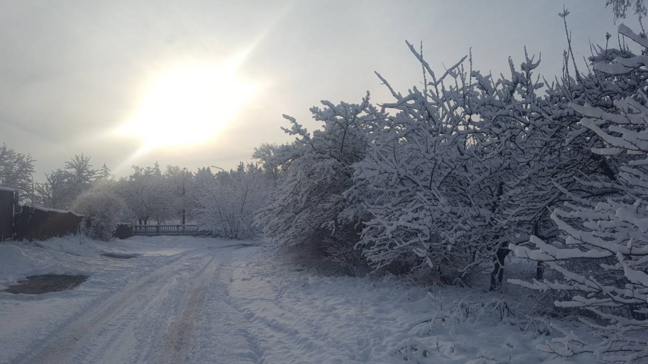 Winter is in full swing - My, Mobile photography, Winter, Republic of Belarus, Samsung Galaxy a5, Photo on sneaker, Longpost