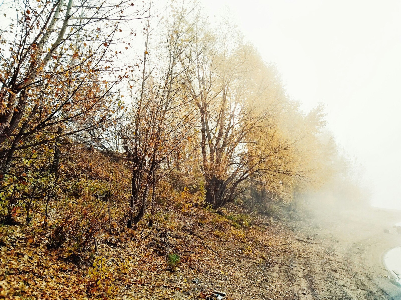 One morning - My, The photo, Fog, Landscape, Longpost