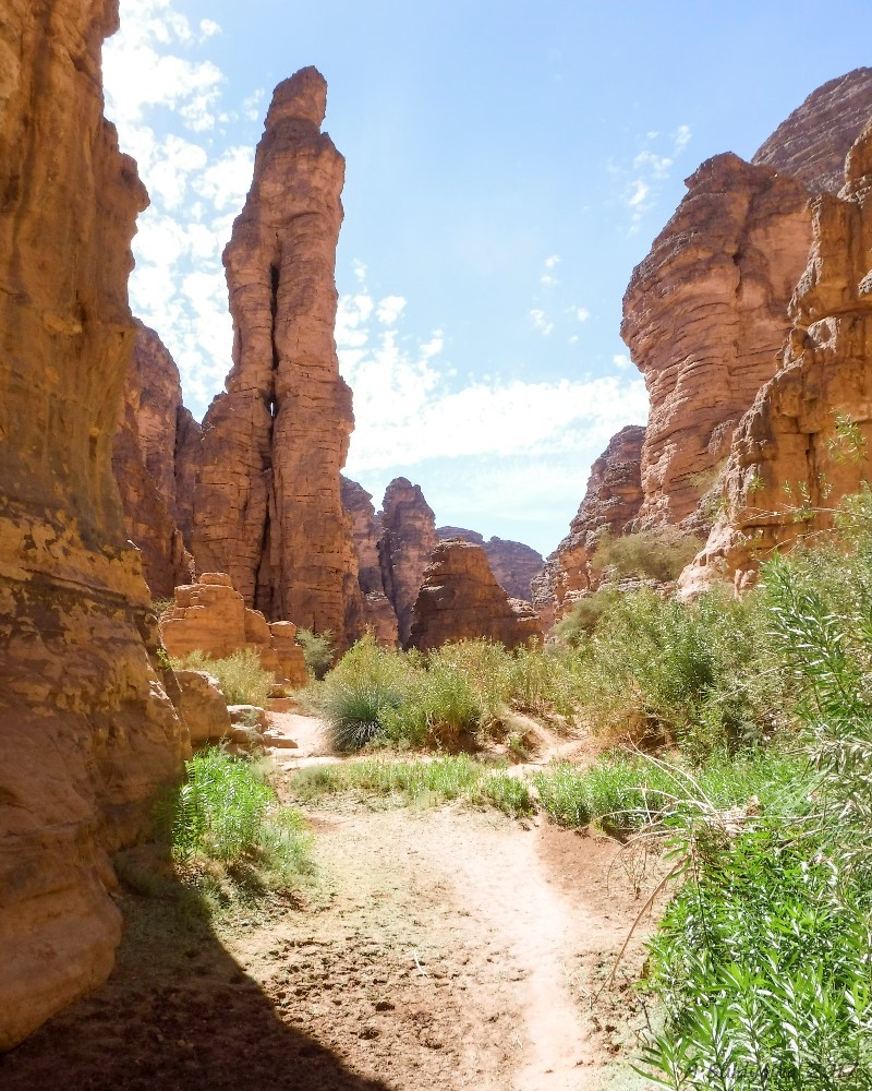 Reserve (National Park) Tassinin-Adjer - My, Desert, Longpost, Travels