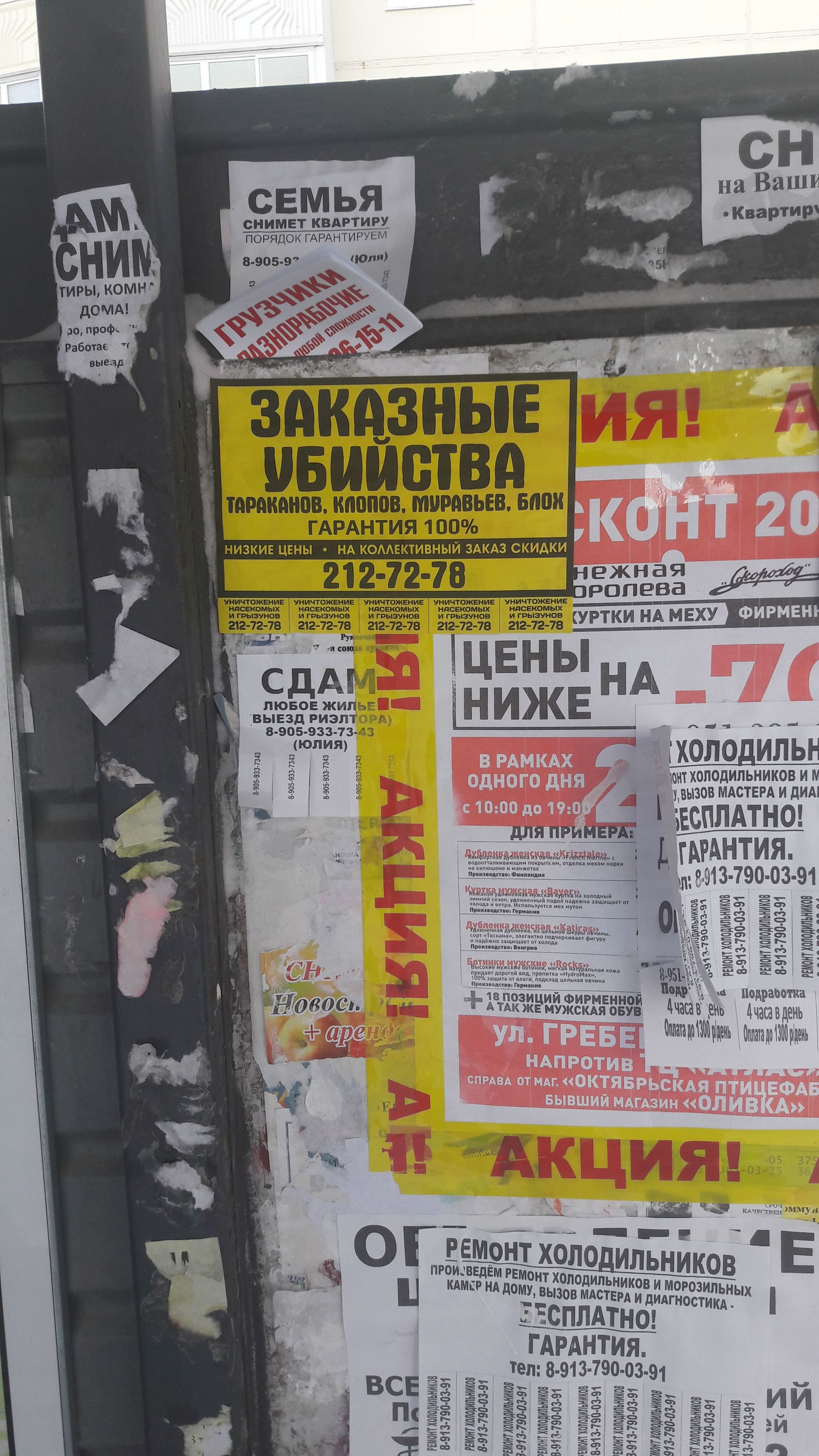 Regular advertising in Novosibirsk - My, Novosibirsk, Advertising, 