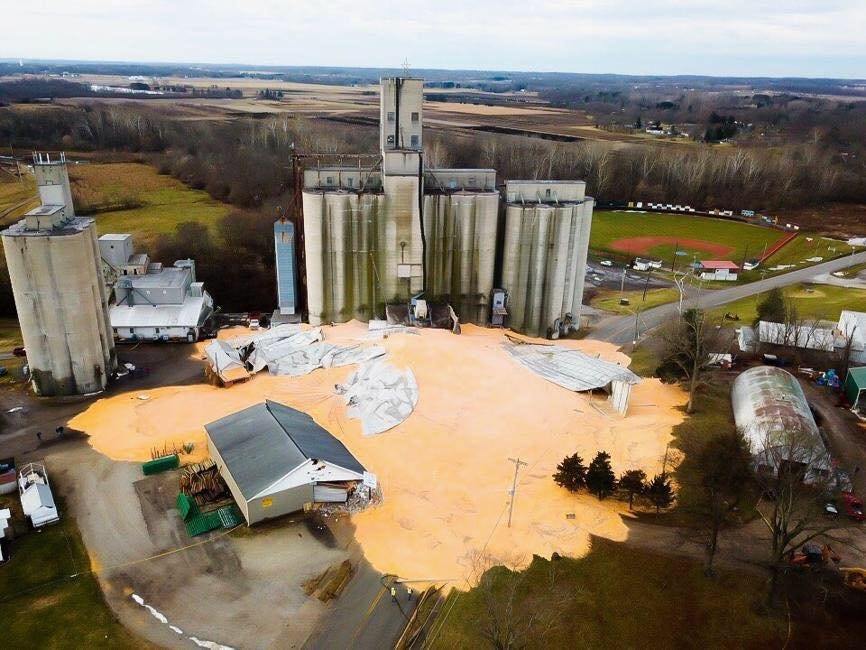 corn shoot - Crash, Corn, USA