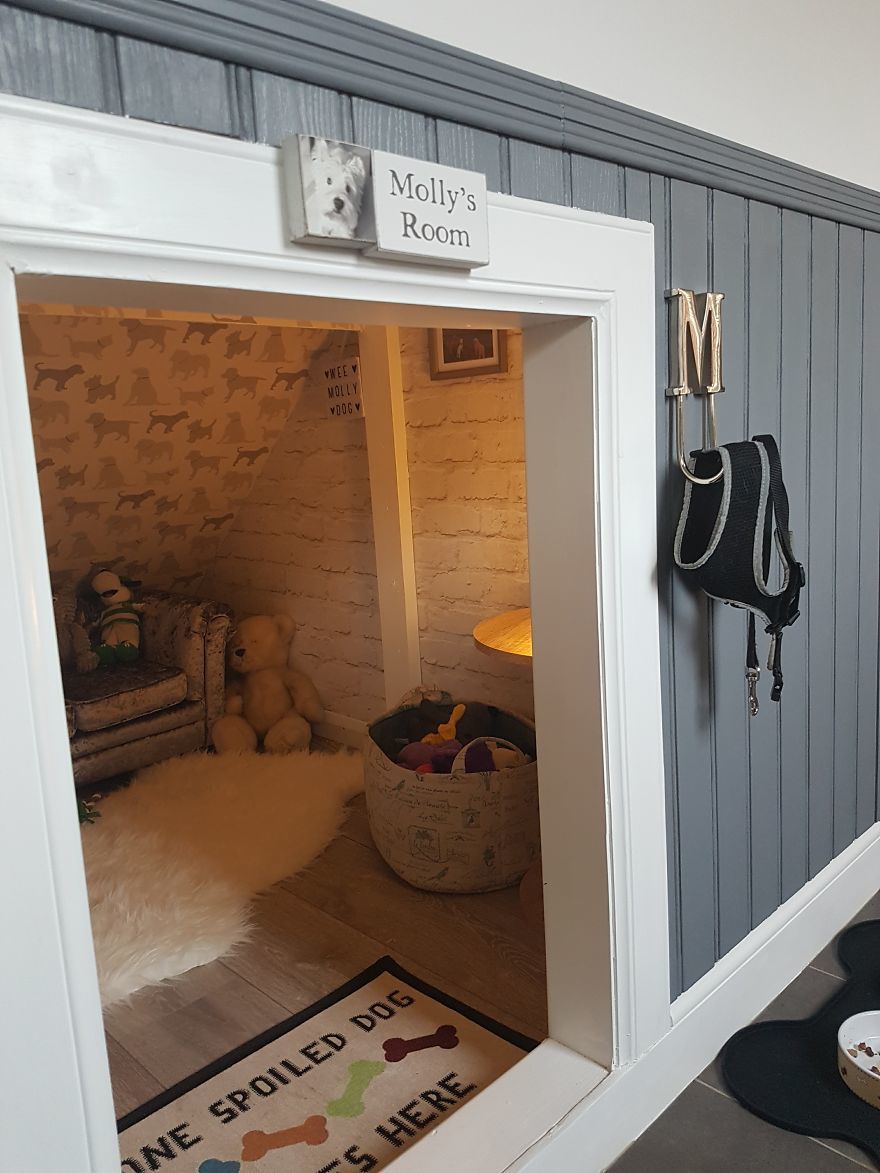 Do-it-yourself room for Molly the dog. - With your own hands, In good hands, Longpost, 