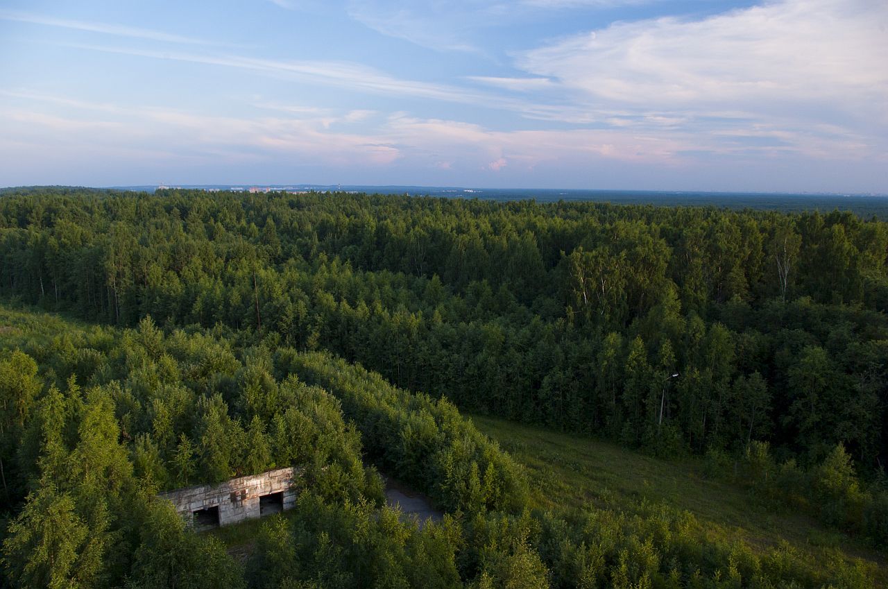 Illegally at the Rzhev artillery range - My, Polygon, , A gun, Cannon, Artillery, , Vsevolozhsk, Vsevolozhsky district, Longpost