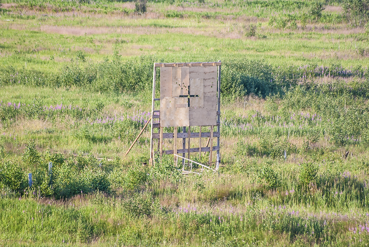 Illegally at the Rzhev artillery range - My, Polygon, , A gun, Cannon, Artillery, , Vsevolozhsk, Vsevolozhsky district, Longpost