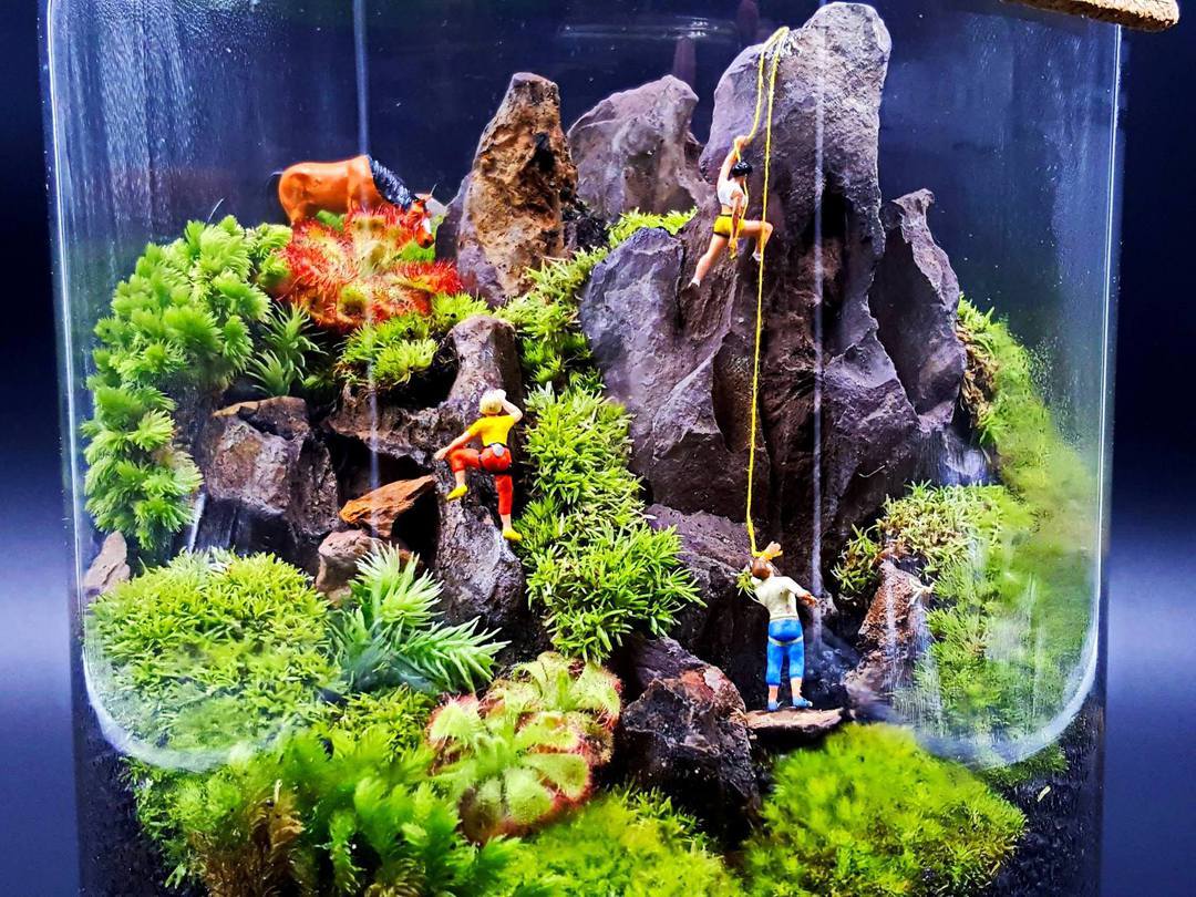 Sometimes one detail is enough - Aquarium, Aquascape, Longpost