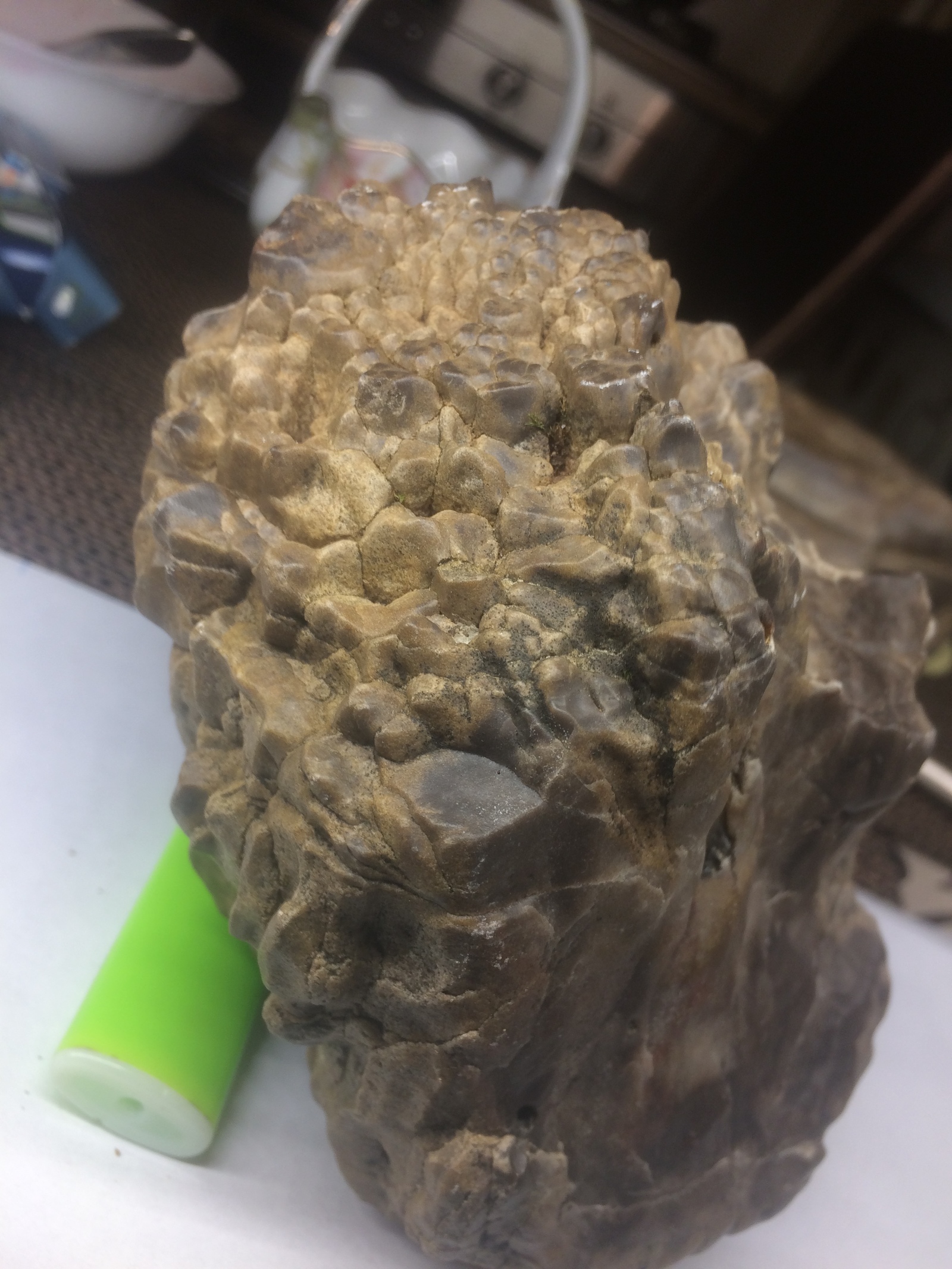 What are these stones? - My, Mineralogy, Geologists, Aquarium, Aquascape, Fossil, A rock, Geology, Longpost