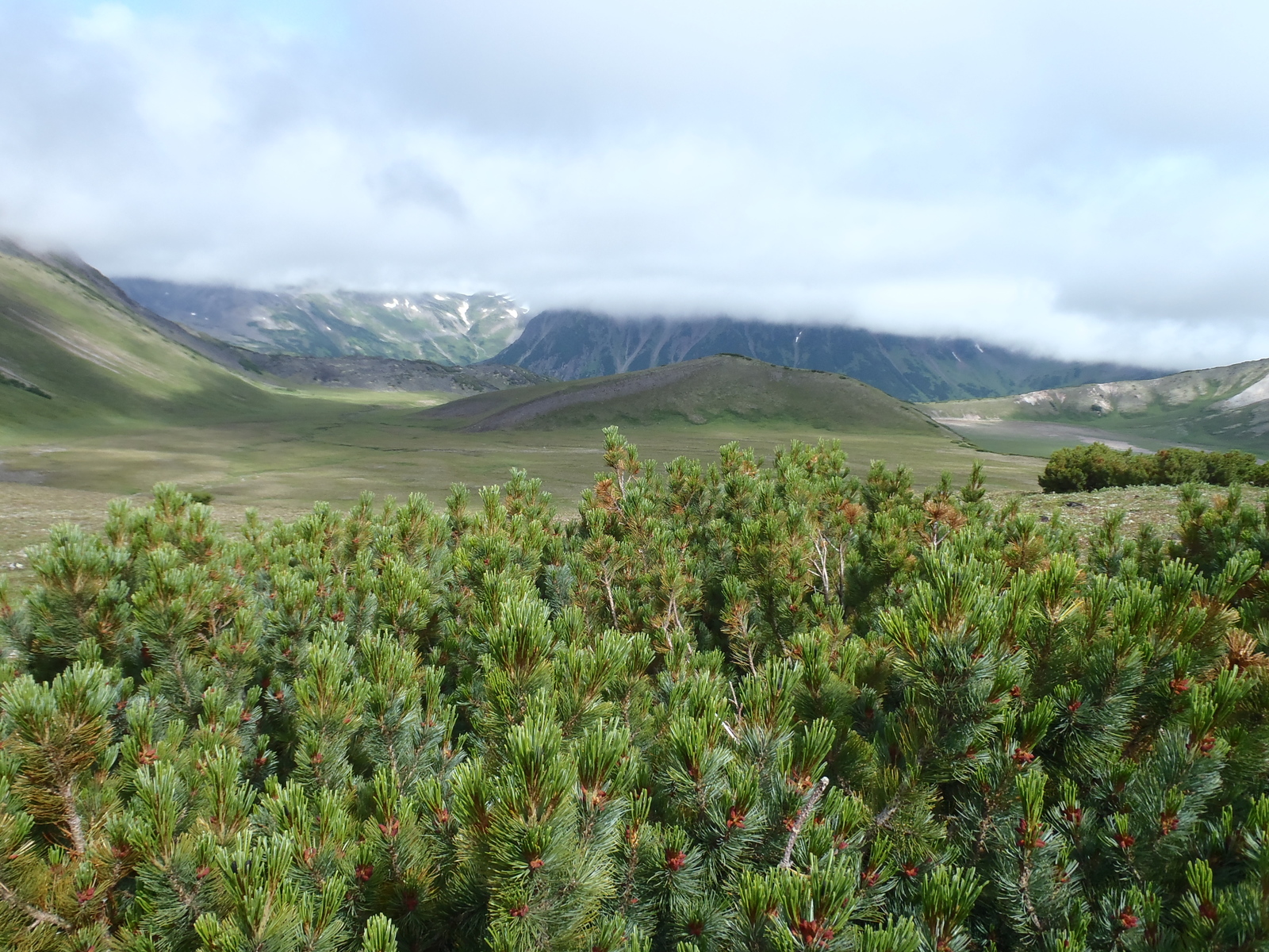 Our race (crawled) to Bakening. Day three, as a result of which I am ready to forgive a lot. - My, My, Kamchatka, Tourism, Longpost, , Volcano