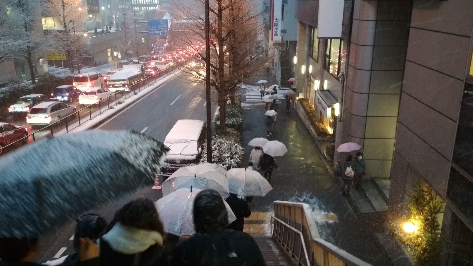 The first snow in Tokyo and the reaction of the townspeople - Japan, Tokyo, Snow, Apocalypse, Longpost