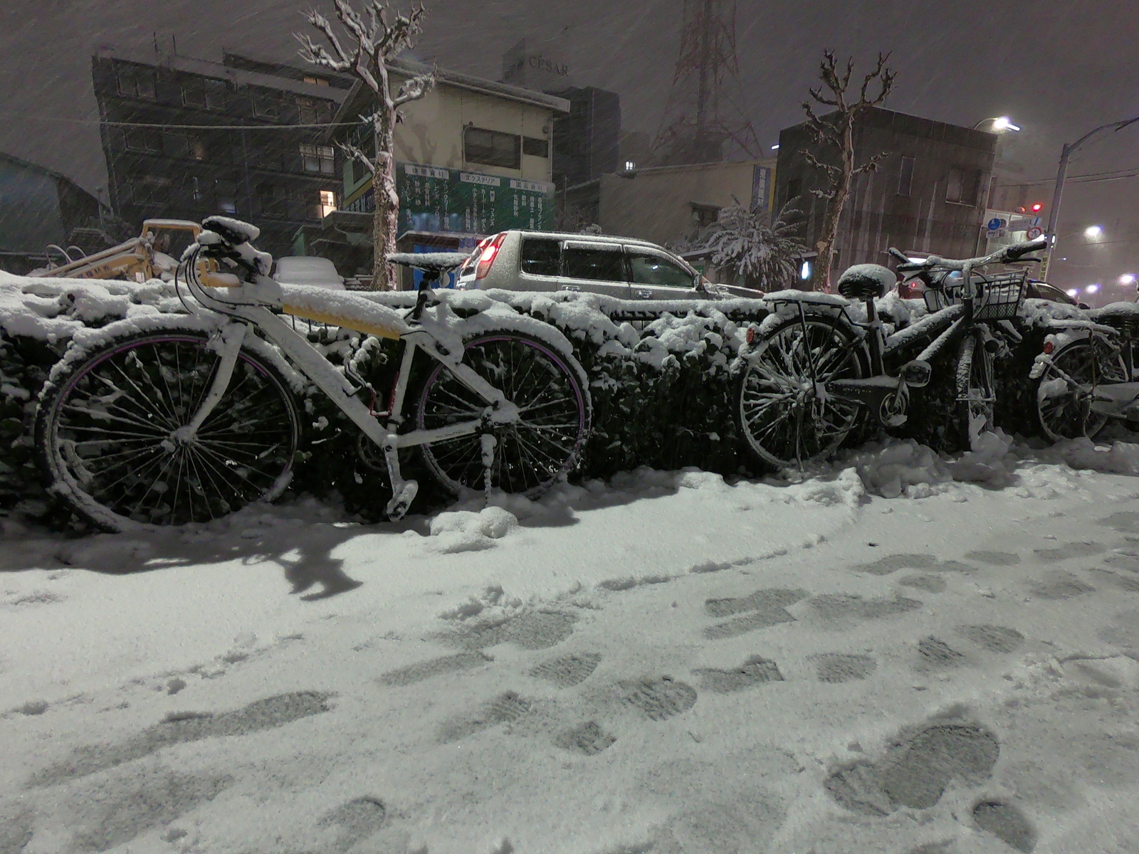 The first snow in Tokyo and the reaction of the townspeople - Japan, Tokyo, Snow, Apocalypse, Longpost