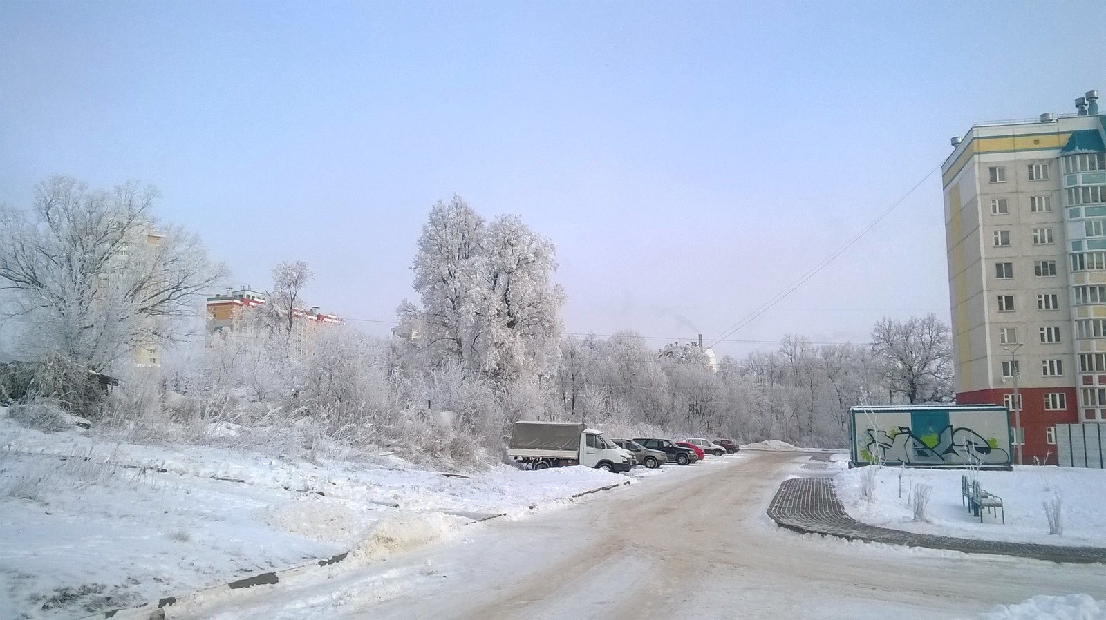 Frosty morning. - My, Orel city, Winter, freezing, Tree, Snow, Eagle