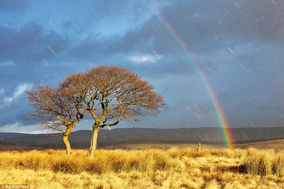 Rainbow - Радуга, Фотография