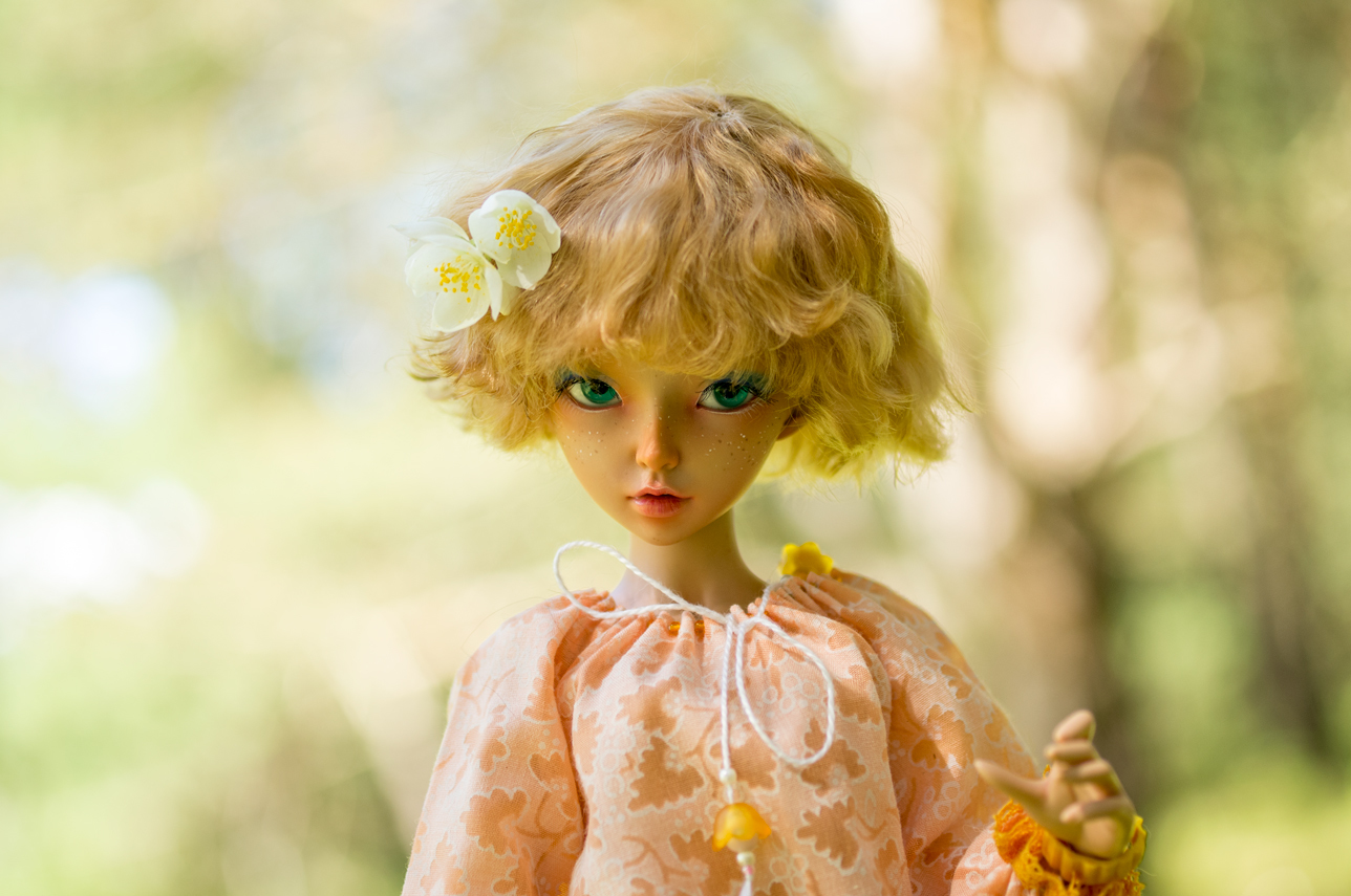 A few articulated dolls. - My, Doll, Jointed doll, Beginning photographer, Longpost