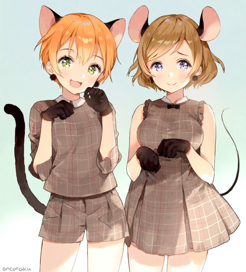 Anime Art - Hoshizora rin, Koizumi Hanayo, Love live! School Idol Project, Anime Art