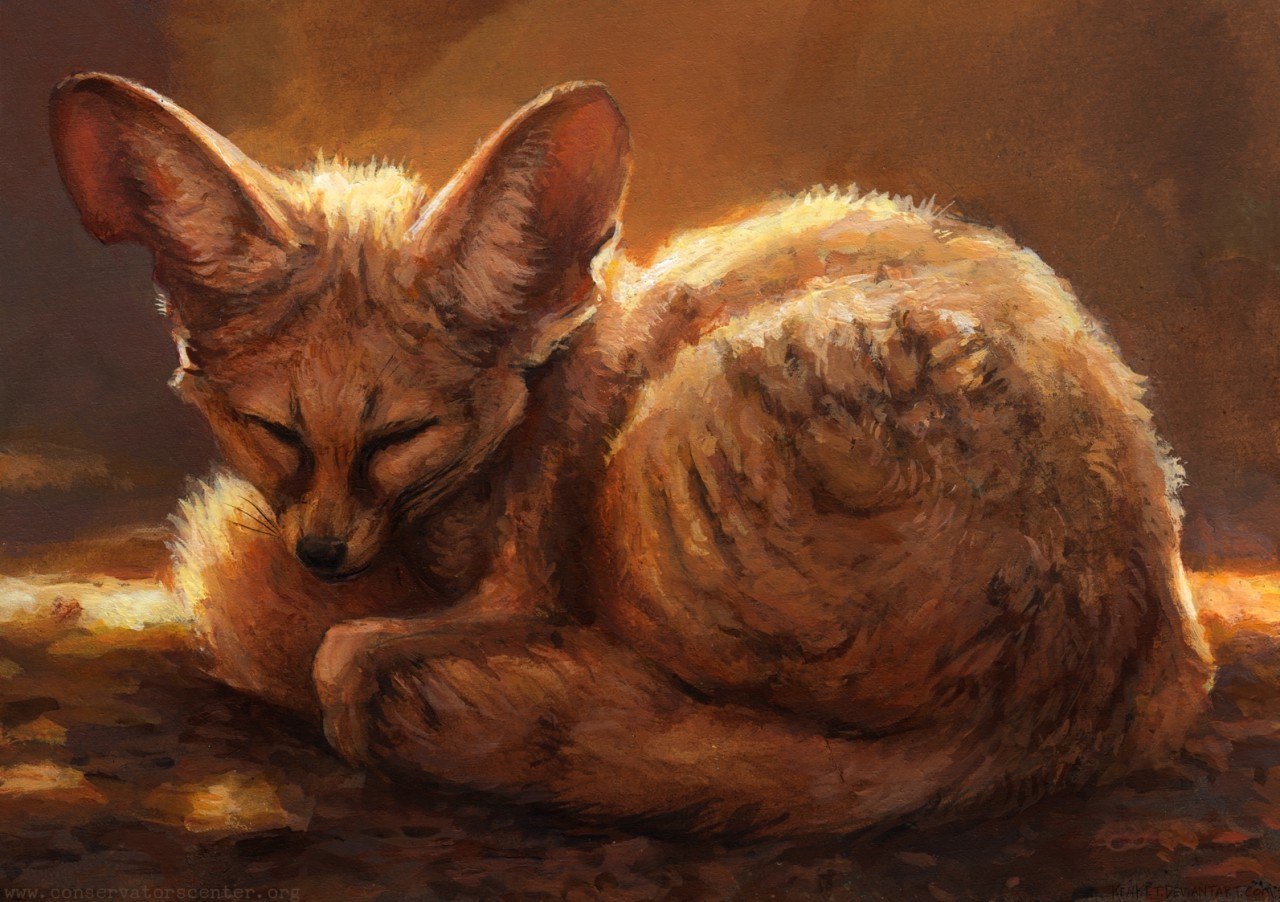 Fenech - Furry, Kenket, Fox, Fenech