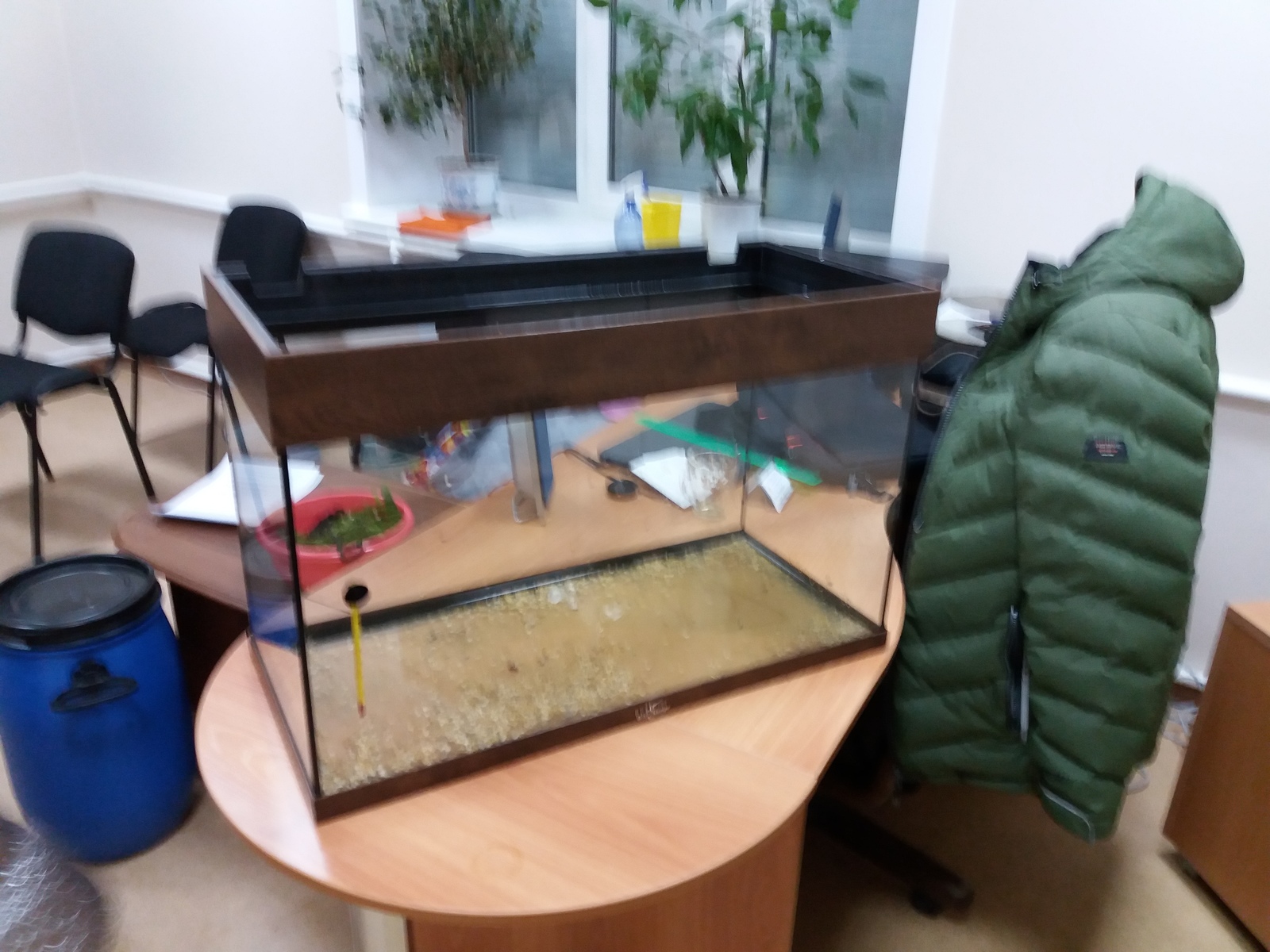 Moving the aquarium to 80 liters. - My, Aquarium, , Aquarium fish, Longpost