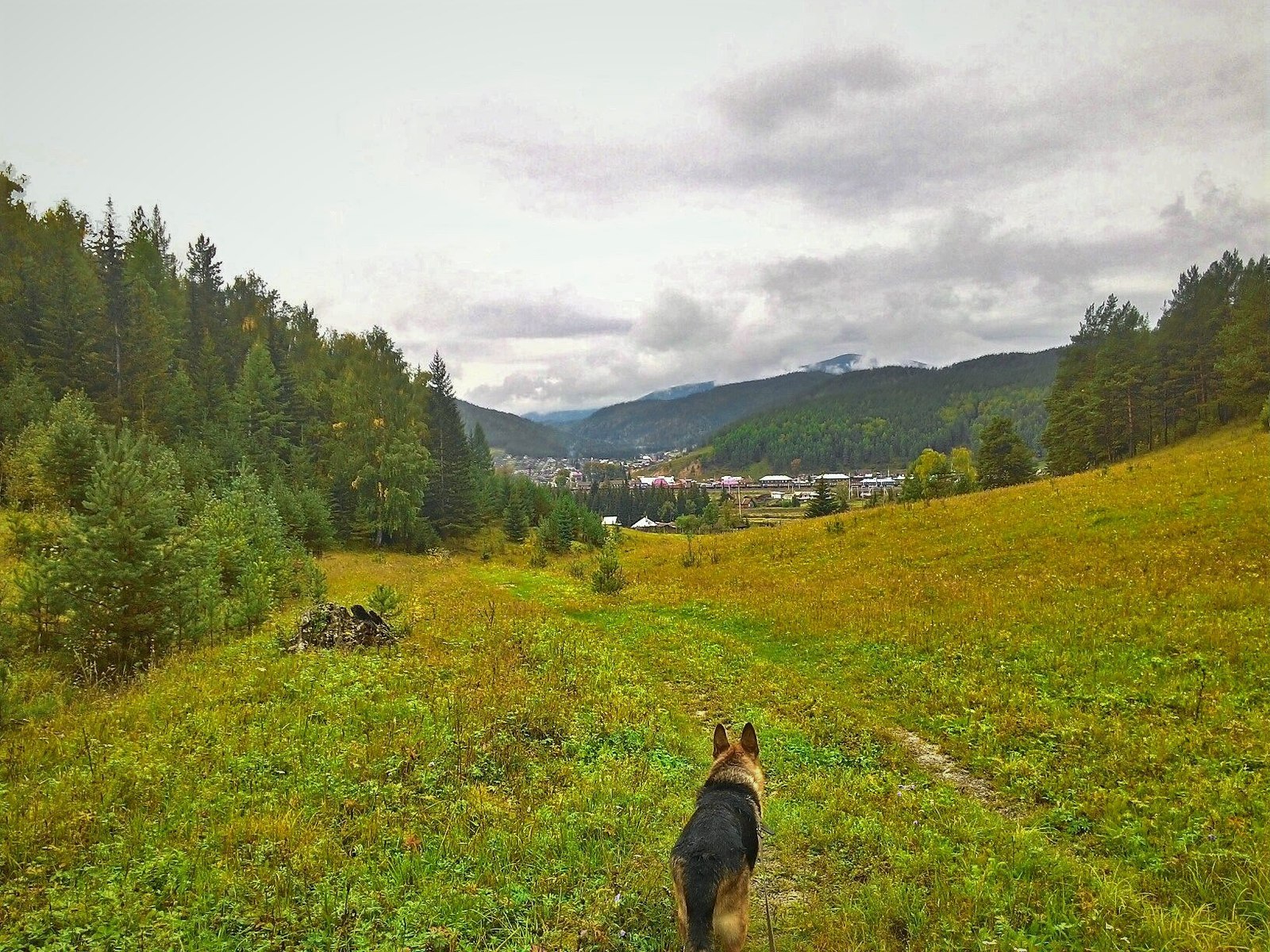 The beauty of Khakass nature. - My, Summer, Village, beauty of nature, Khakassia, Longpost