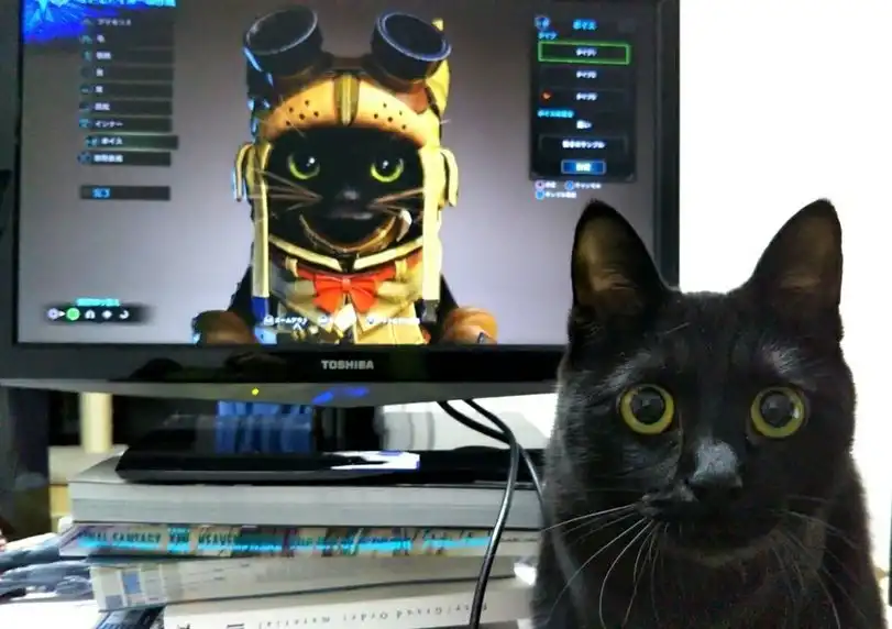 New Monster Hunter is the best cat creation simulator. - cat, Monster hunter