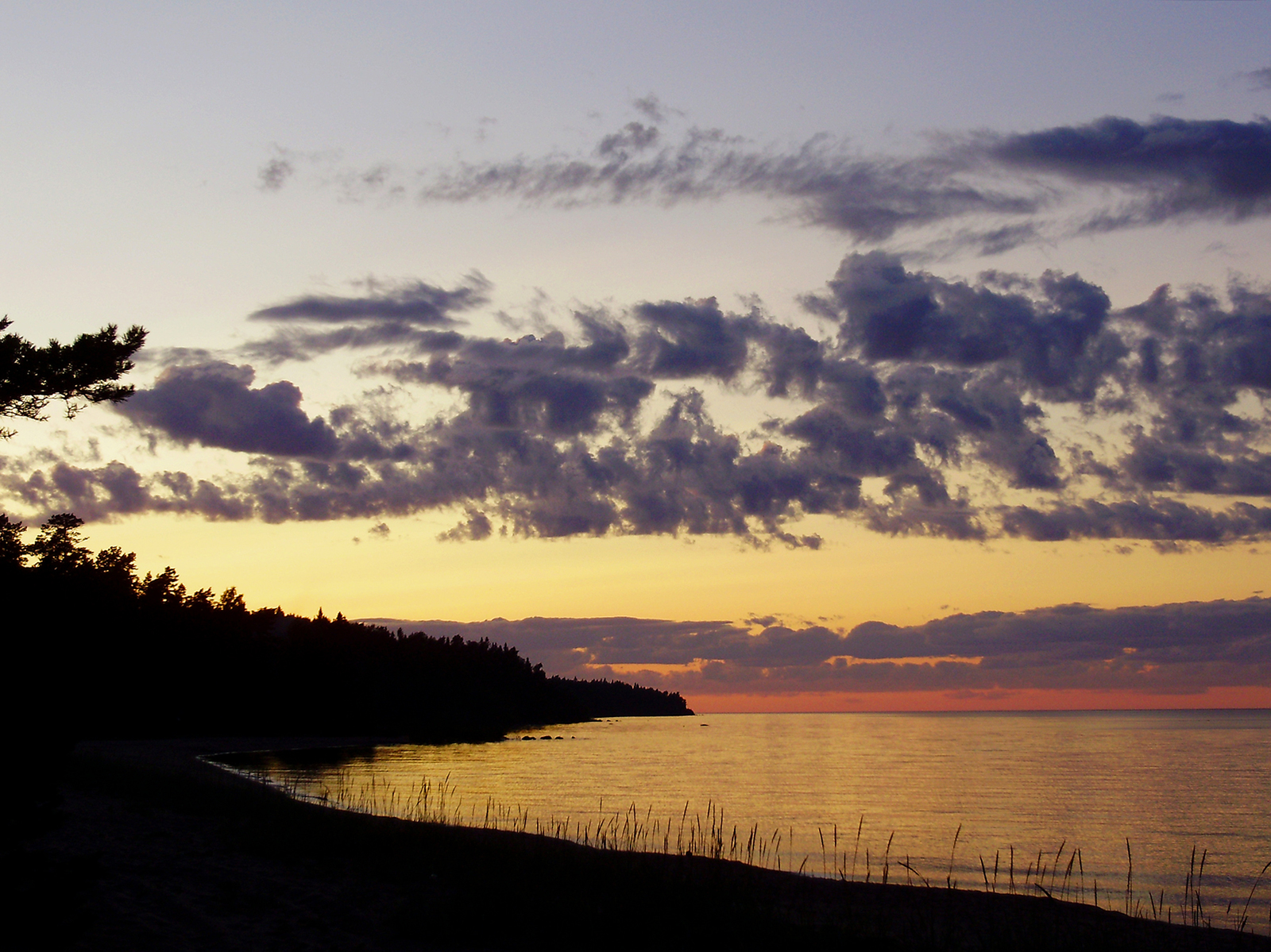 Leningrad region - My, The photo, Nature, Leningrad region, Longpost