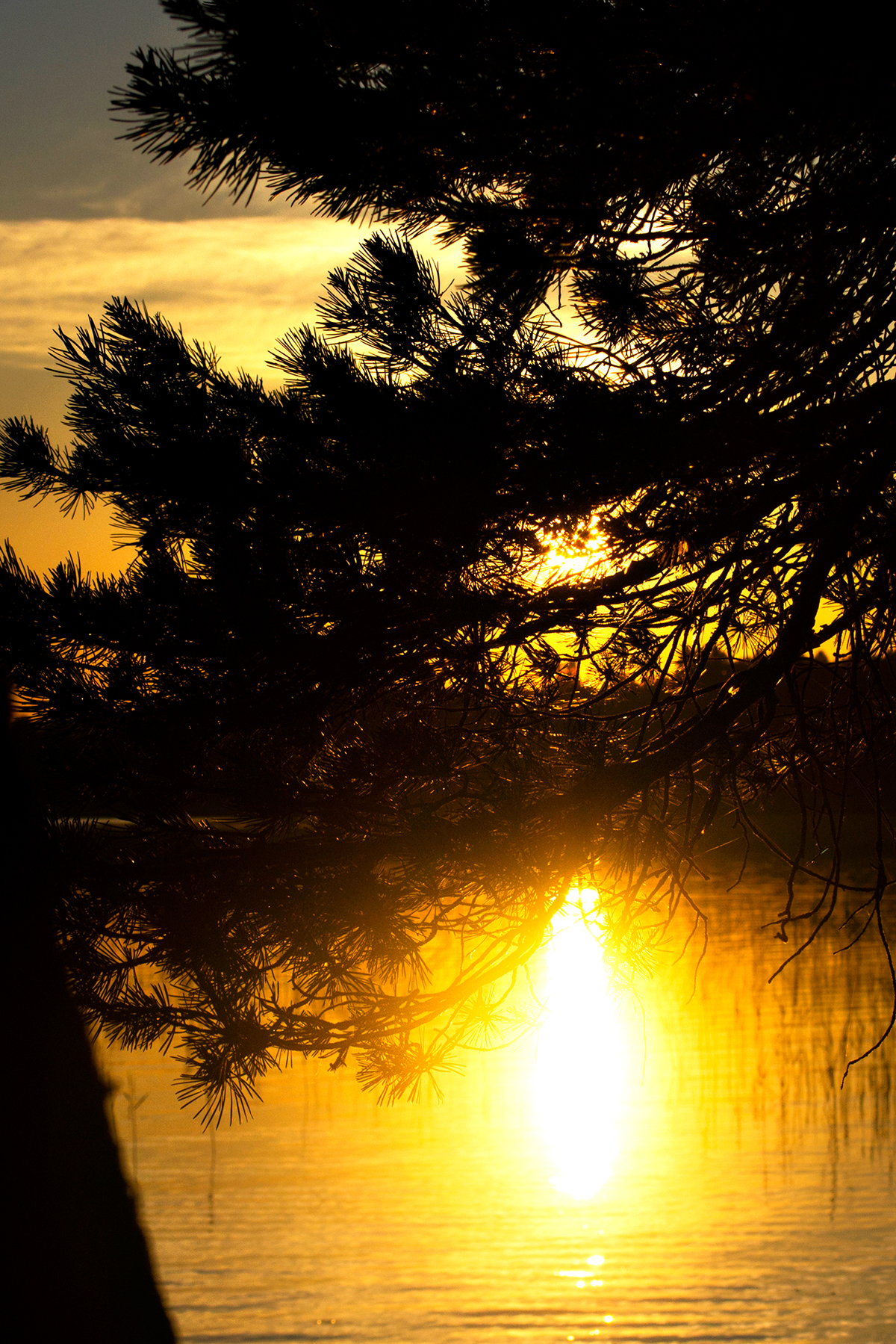 Leningrad region - My, The photo, Nature, Leningrad region, Longpost