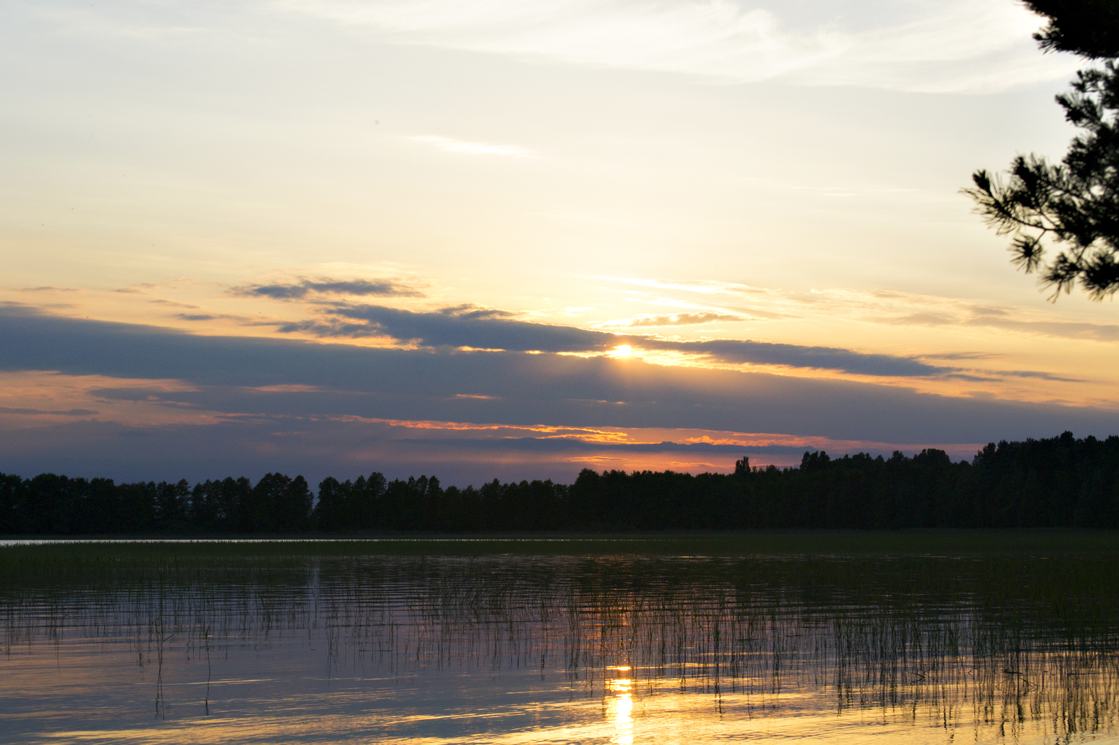 Leningrad region - My, The photo, Nature, Leningrad region, Longpost