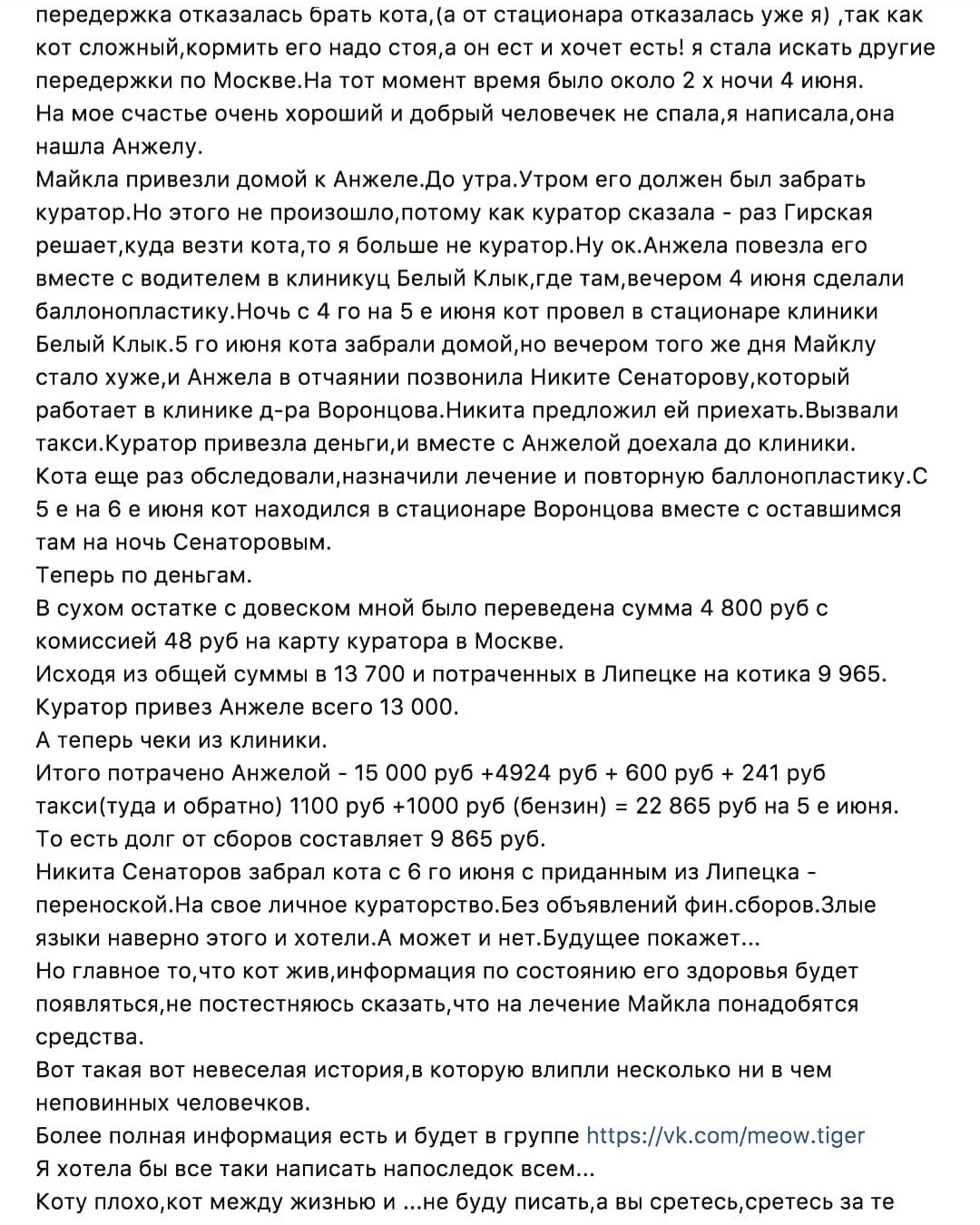 7 операций и 7 рекомендаций к эвтаназии спустя — День, когда всё началось для Джереми - Моё, Кот, История, Реальная история из жизни, Блог, Длиннопост, Спасение, Помощь, Домашние животные