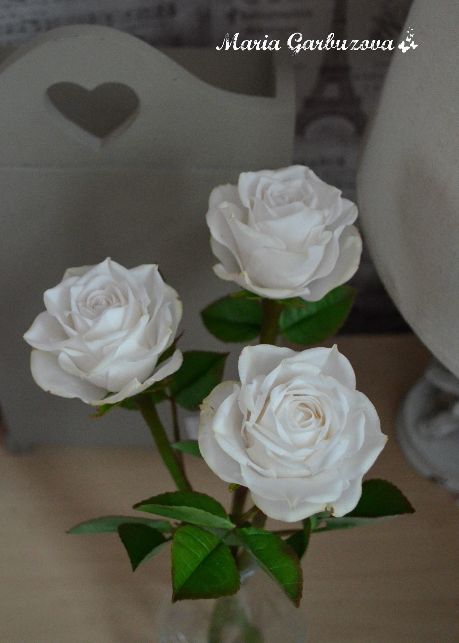 Cold porcelain handmade roses - My, Cold porcelain, With your own hands, Longpost