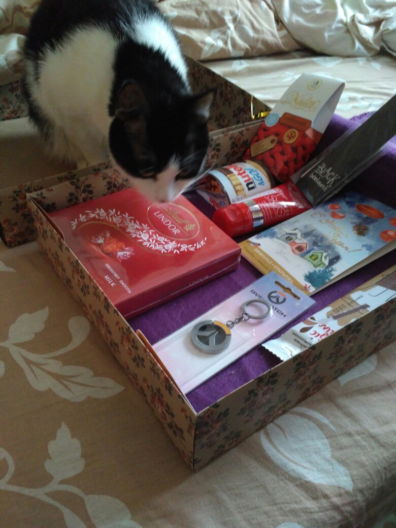 Thanks to the altruist from Serpukhov - My, Gift exchange, Thank you, Secret Santa, cat, Miracle, Longpost