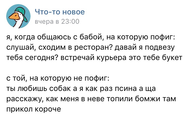 Ты любишь собак? А я как раз псина - Девушки, ВКонтакте, Картинка с текстом