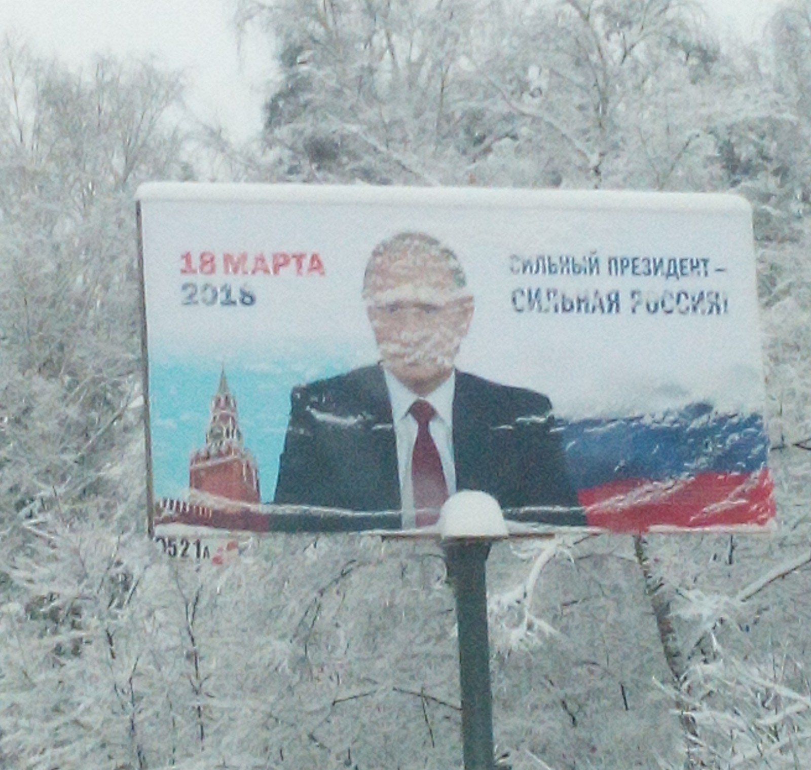 He ran there - Vladimir Putin, Snow, Elections, Politics