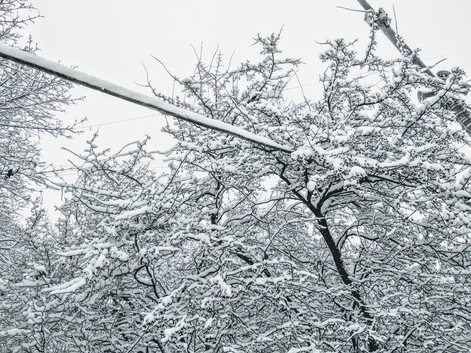 Winter has cleared - My, The photo, Snow, Moscow