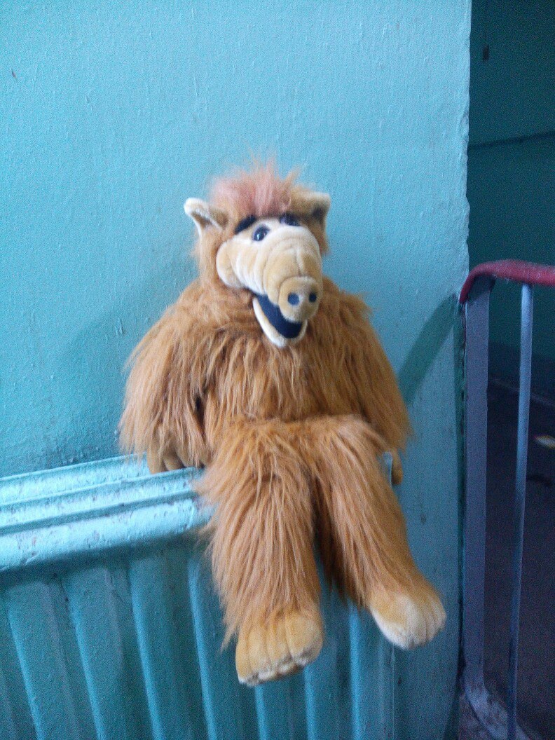 Alf - Alf, Friend