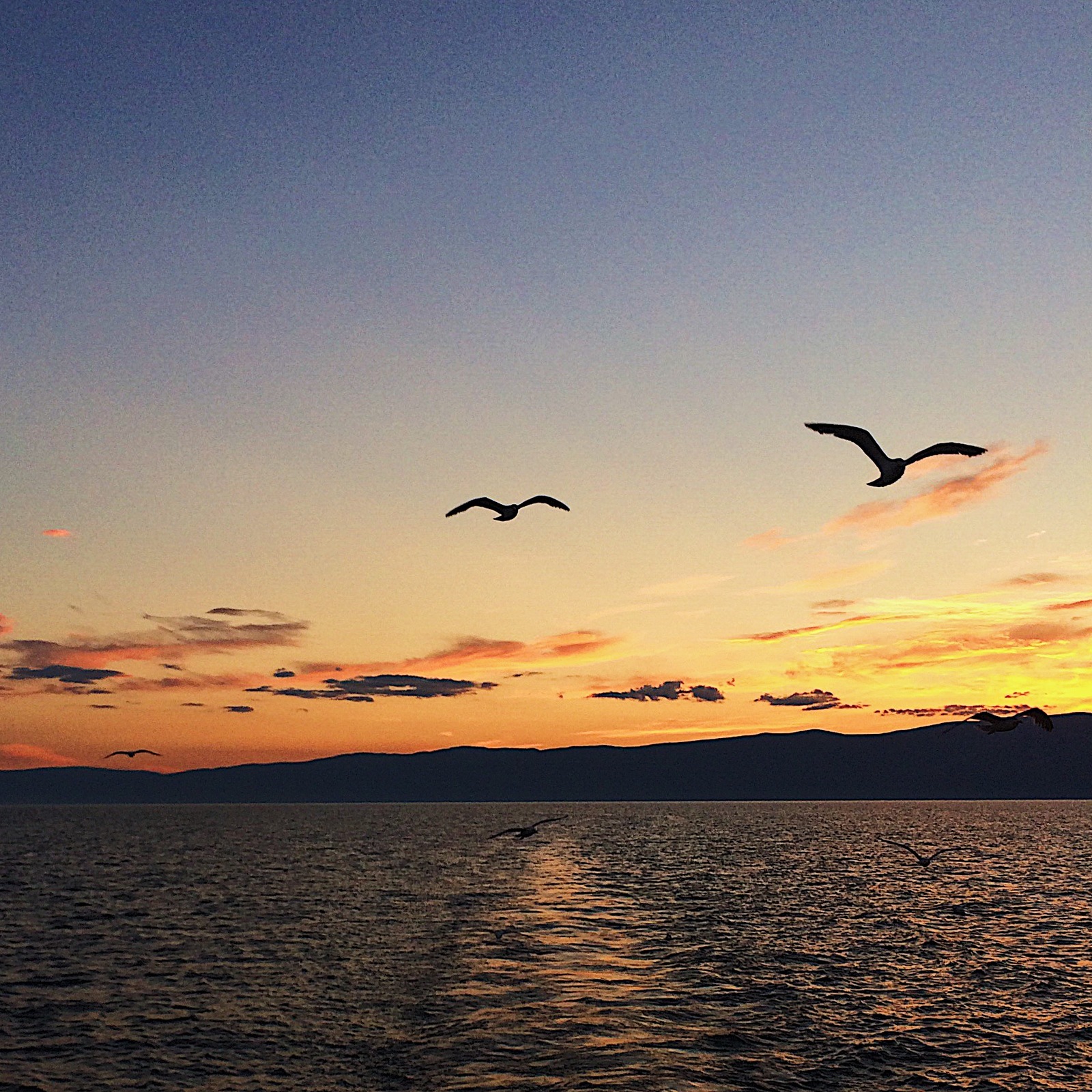 Baikal in August - My, Baikal, Summer, My, Mobile photography, Photographer, , Longpost